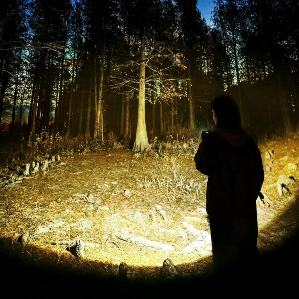 Naturehike Glamping Kamp Lambası 1200LM - Görsel 6